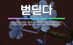 🌟벋딛다: ‘벋디디다’의 준말. (벋디디다: 테두리나 금 밖으로 내어 디디다.), ‘벋디디다’의 준말. (... - 표준국어대사전