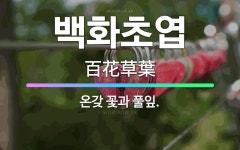 🌟백화초엽: 온갖 꽃과 풀잎. - 표준국어대사전
