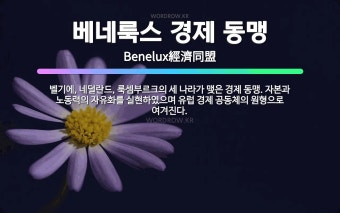 베네룩스 경제 동맹: 벨기에, 네덜란드, 룩셈부르크의 세 나라가 맺은 경제 동맹. 자본과 노동력의 자유화... - 표준국어대사전