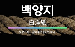 🌟백양지: 빛깔이 희고 질이 좋은 종이의 하나. - 표준국어대사전