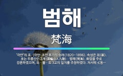 🌟범해: ‘각안’의 호. (각안: 조선 후기의 승려(1820~1896). 속성은 최(崔). 호는 두륜산인구... - 표준국어대사전