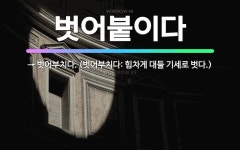 🌟벗어붙이다: → 벗어부치다. (벗어부치다: 힘차게 대들 기세로 벗다.) - 표준국어대사전