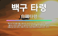 🌟백구 타령: ‘백구사’의 다른 이름. (백구사: 조선 시대 십이 가사의 하나. 벼슬에서 물러난 선비가 갈... - 표준국어대사전