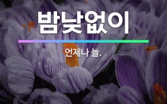 🌟밤낮없이: 언제나 늘. - 표준국어대사전