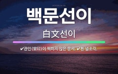 🌟백문선이: 흰 널조각., 관인(官印)이 찍히지 않은 문서. - 표준국어대사전