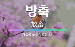 🌟방축: 가축을 놓아기르는 일. - 표준국어대사전