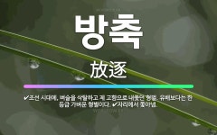 🌟방축: 조선 시대에, 벼슬을 삭탈하고 제 고향으로 내쫓던 형벌. 유배보다는 한 등급 가벼운 형벌이다., ... - 표준국어대사전