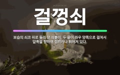 🌟걸껑쇠: 보습의 쇠코 위로 둘러 댄 쇠붙이. 두 끝이 좌우 양쪽으로 걸쳐서 앞쪽을 향하여 접히거나 휘어져... - 표준국어대사전
