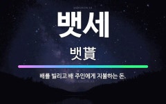 🌟뱃세: 배를 빌리고 배 주인에게 지불하는 돈. - 표준국어대사전