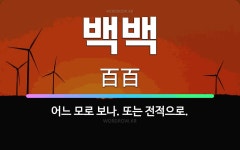 🌟백백: 어느 모로 보나. 또는 전적으로. - 표준국어대사전