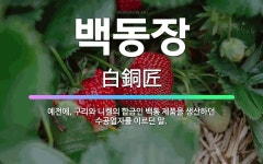 🌟백동장: 예전에, 구리와 니켈의 합금인 백통 제품을 생산하던 수공업자를 이르던 말. - 표준국어대사전