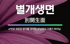 🌟별개생면: 따로 새로운 분야를 개척함., 남달리 기예가 뛰어남. - 표준국어대사전