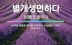 🌟별개생면하다: 따로 새로운 분야를 개척하다., 남달리 기예가 뛰어나다. - 표준국어대사전