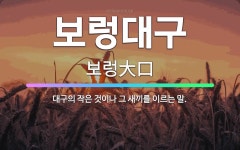 🌟보렁대구: 대구의 작은 것이나 그 새끼를 이르는 말. - 표준국어대사전