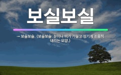 🌟보실보실: → 보슬보슬. (보슬보슬: 눈이나 비가 가늘고 성기게 조용히 내리는 모양.) - 표준국어대사전