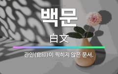 🌟백문: 관인(官印)이 찍히지 않은 문서. - 표준국어대사전