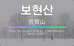 🌟보현산: 경상북도 영천시와 청송군 사이에 있는 산. 태백산맥에 속한다. 높이는 1,124미터. - 표준국어대사전