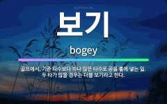 🌟보기: 골프에서, 기준 타수보다 하나 많은 타수로 공을 홀에 넣는 일. 두 타가 많을 경우는 더블 보기라... - 표준국어대사전