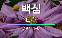 🌟백심: 결백한 마음. - 표준국어대사전
