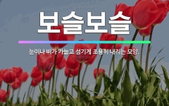 🌟보슬보슬: 눈이나 비가 가늘고 성기게 조용히 내리는 모양. - 표준국어대사전