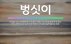 🌟벙싯이: 닫혀 있던 입이나 문 따위가 소리 없이 슬쩍 열리는 모양., 입을 조금 크게 벌리며 소리 없이 ... - 표준국어대사전