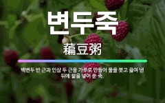 🌟변두죽: 백변두 반 근과 인삼 두 근을 가루로 만들어 물을 붓고 끓여 낸 뒤에 쌀을 넣어 쑨 죽. - 표준국어대사전