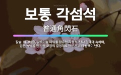 🌟보통 각섬석: 칼슘, 마그네슘, 알루미늄 따위를 함유한 각섬석. 단사 정계에 속하며, 검은 녹색을 띤 기... - 표준국어대사전