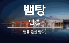 🌟뱀탕: 뱀을 끓인 탕약. - 표준국어대사전