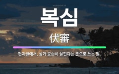 🌟복심: 편지글에서, 삼가 공손히 살핀다는 뜻으로 쓰는 말. - 표준국어대사전