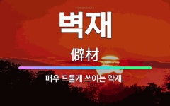 🌟벽재: 매우 드물게 쓰이는 약재. - 표준국어대사전