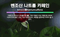 🌟벤조산 나트륨 카페인: 카페인과 벤조산 나트륨의 염(鹽). 약리 작용은 주로 카페인에 의하여 이루어지며 ... - 표준국어대사전