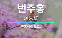🌟번주홍: 진홍색의 도료. - 표준국어대사전