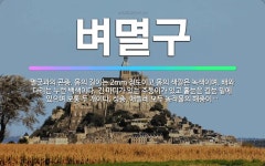🌟벼멸구: 멸굿과의 곤충. 몸의 길이는 2mm 정도이고 몸의 색깔은 녹색이며, 배와 다리는 누런 백색이다.... - 표준국어대사전