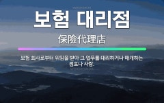 🌟보험 대리점: 보험 회사로부터 위임을 받아 그 업무를 대리하거나 매개하는 점포나 사람. - 표준국어대사전