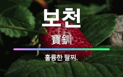 🌟보천: 훌륭한 팔찌. - 표준국어대사전