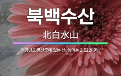 🌟북백수산: 함경남도 풍산군에 있는 산. 높이는 2,522미터. - 표준국어대사전