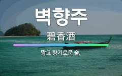 🌟벽향주: 맑고 향기로운 술. - 표준국어대사전