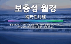 🌟보충성 월경: 월경이 없거나 그 양이 매우 적을 때에, 자궁의 출혈을 대신하여 코나 허파, 위장, 유방 ... - 표준국어대사전