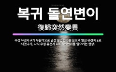 🌟복귀 돌연변이: 우성 유전자 A가 우발적으로 열성 돌연변이를 일으켜 열성 유전자 a로 되었다가, 다시 우... - 표준국어대사전