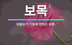 🌟보목: 대들보가 기둥에 얹히는 부분. - 표준국어대사전