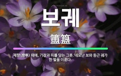 🌟보궤: 제향(祭享) 때에, 기장과 피를 담는 그릇. 네모난 보와 둥근 궤가 한 벌을 이룬다. - 표준국어대사전