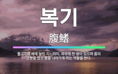 🌟복기: 물고기의 배에 달린 지느러미. 좌우에 한 쌍이 있으며 몸의 균형을 잡고 몸을 나아가게 하는 역할을... - 표준국어대사전