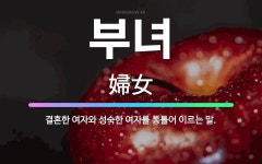 🌟부녀: 결혼한 여자와 성숙한 여자를 통틀어 이르는 말. - 표준국어대사전