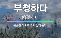 🌟부청하다: 공손한 태도로 주의 깊게 듣다. - 표준국어대사전