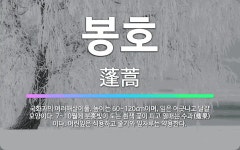 🌟봉호: 국화과의 여러해살이풀. 높이는 60~120cm이며, 잎은 어긋나고 달걀 모양이다. 7~10월에 분... - 표준국어대사전