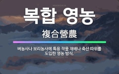 🌟복합 영농: 벼농사나 보리농사에 특용 작물 재배나 축산 따위를 도입한 영농 방식. - 표준국어대사전