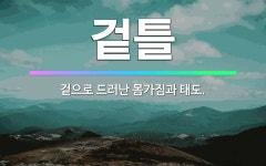 🌟겉틀: 겉으로 드러난 몸가짐과 태도. - 표준국어대사전