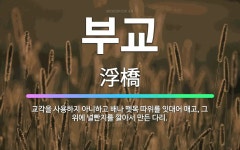 🌟부교: 교각을 사용하지 아니하고 배나 뗏목 따위를 잇대어 매고, 그 위에 널빤지를 깔아서 만든 다리. - 표준국어대사전