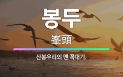 🌟봉두: 산봉우리의 맨 꼭대기. - 표준국어대사전