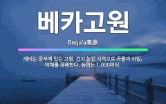 🌟베카고원: 레바논 중부에 있는 고원. 건지 농업 지역으로 곡물과 과일, 야채를 재배한다. 높이는 1,00... - 표준국어대사전